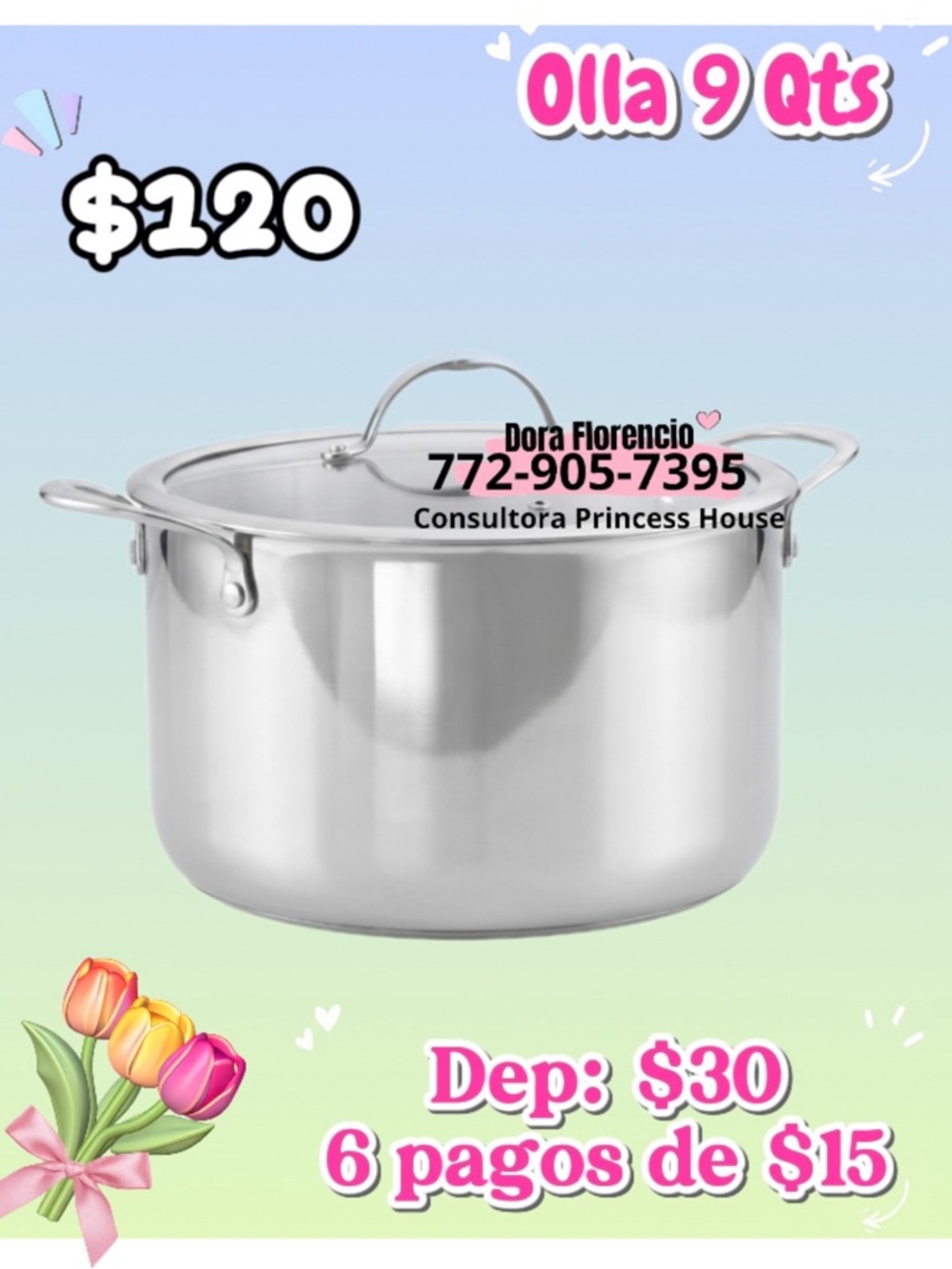 Princess House Stainless Steel 9qt Stock Pot - Silver